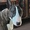 Bullterrier